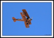 Snowbirds_12_framed