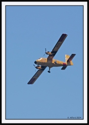 Snowbirds_13_framed