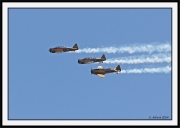 Snowbirds_16_framed