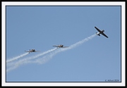 Snowbirds_19_framed