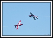 Snowbirds_1_framed