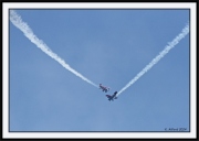Snowbirds_28_framed