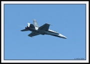 Snowbirds_2_framed