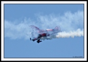 Snowbirds_30_framed