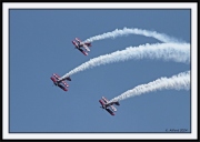 Snowbirds_31_framed
