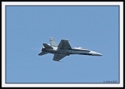 Snowbirds_34_framed
