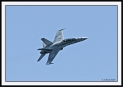 Snowbirds_35_framed