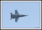 Snowbirds_36_framed
