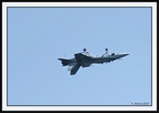 Snowbirds_37_framed