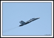 Snowbirds_38_framed