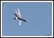 Snowbirds_39_framed