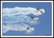 Snowbirds_3_framed