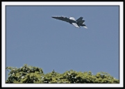 Snowbirds_40_framed