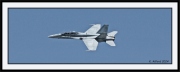 Snowbirds_41_framed