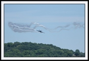 Snowbirds_42_framed