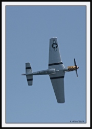 Snowbirds_43-5_framed