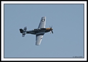 Snowbirds_43_framed