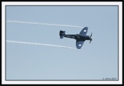 Snowbirds_44_framed