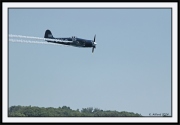 Snowbirds_45_framed