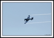Snowbirds_46_framed