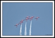 Snowbirds_47_framed