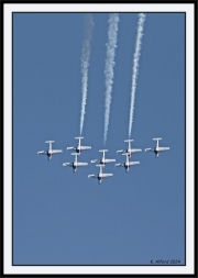 Snowbirds_48_framed