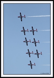 Snowbirds_49_framed