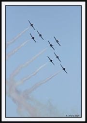 Snowbirds_50_framed