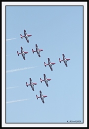 Snowbirds_51_framed