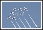 Snowbirds_52_framed