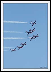 Snowbirds_54-6_framed