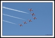 Snowbirds_54_framed