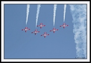 Snowbirds_55_framed