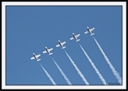 Snowbirds_56_framed