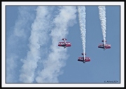 Snowbirds_59-5_framed