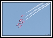 Snowbirds_60_framed