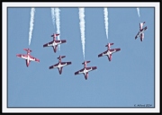 Snowbirds_6_framed