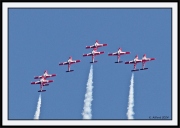 Snowbirds_8_framed